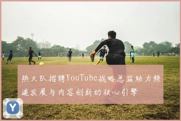 热火队招聘YouTube战略总监助力频道发展与内容创新的核心引擎